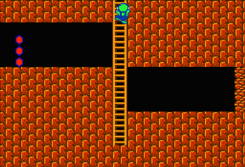 On World 3-2 in Super Mario Bros. 2, to reach the secret shortcut, climb up this ladder.